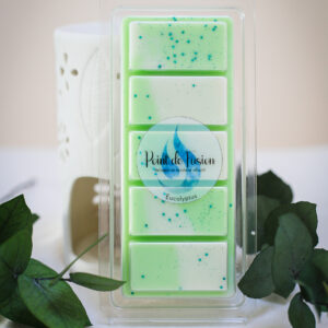Tablette parfumée Eucalyptus