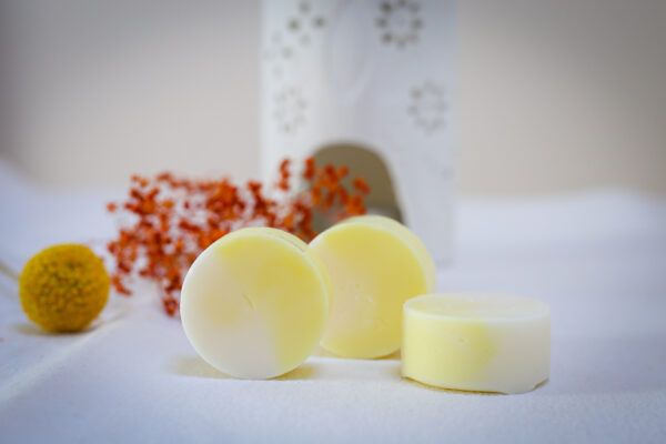 Fondant parfumé Terre d'Orient
