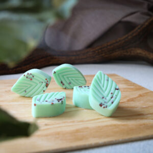 Fondant parfumé Balade en forêt