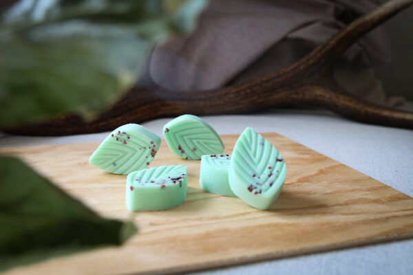 Fondant parfumé Balade en forêt